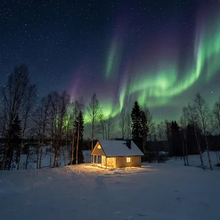 Riverside Dream 度假居 罗瓦涅米